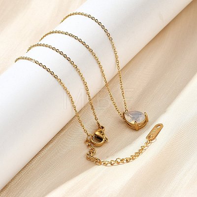 304 Stainless Steel Necklaces NJEW-R022-01G-10-1