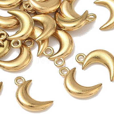 304 Stainless Steel Charms STAS-D310-06G-02-1