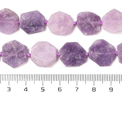 Natural Lepidolite Beads Strands G-L095-A01-01B-1