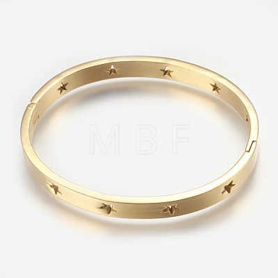 304 Stainless Steel Bangles BJEW-P192-13G-1