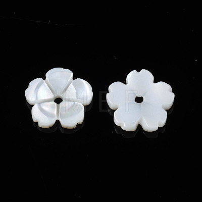 Natural Freshwater Shell Beads SHEL-N026-185-1