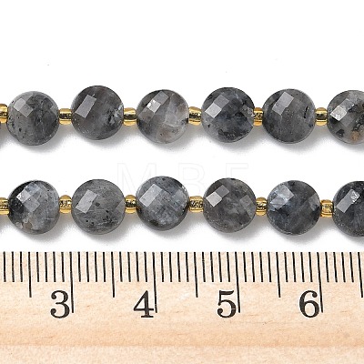 Natural Larvikite Beads Strands G-K389-B85-01-1