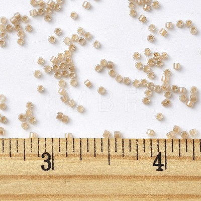 MIYUKI Delica Beads SEED-MY11-DB1731-1