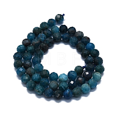 Natural Apatite Beads Strands G-G927-32-1