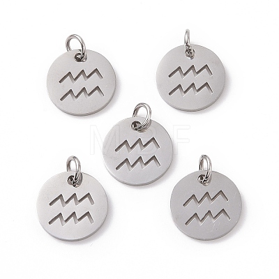 304 Stainless Steel Charms STAS-Q201-T445-11S-1