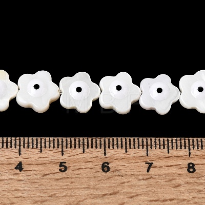 Natural Freshwater Shell Beads Strands SHEL-A006-03E-1