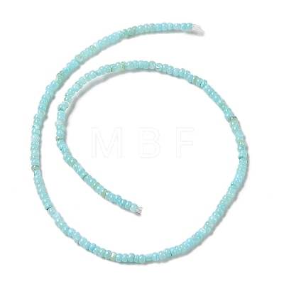 Natural Freshwater Shell Beads Strands SHEL-P017-01B-03-1