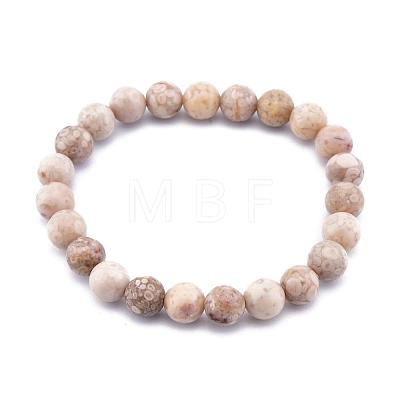 Natural Maifanite/Maifan Stone Bead Stretch Bracelets BJEW-K212-A-044-1