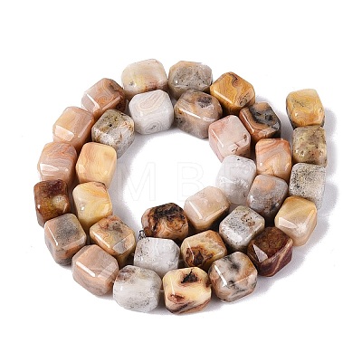Natural Crazy Agate Beads Strands G-Q608-10B-1