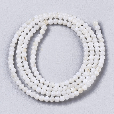 Natural Freshwater Shell Beads Strands X-BSHE-T009-01F-1