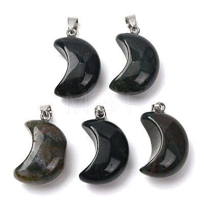 Natural Moss Agate Pendants G-F820-02L-12-1