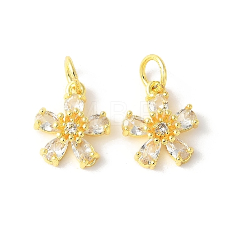 Brass Micro Pave Cubic Zirconia Pendants LS-KK-U067-03G-04-1