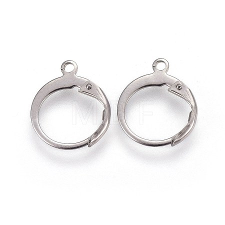 Tarnish Resistant 304 Stainless Steel Leverback Earring Findings STAS-I100-19P-1