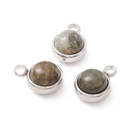 Natural Labradorite Charms G-K325-01P-04-1