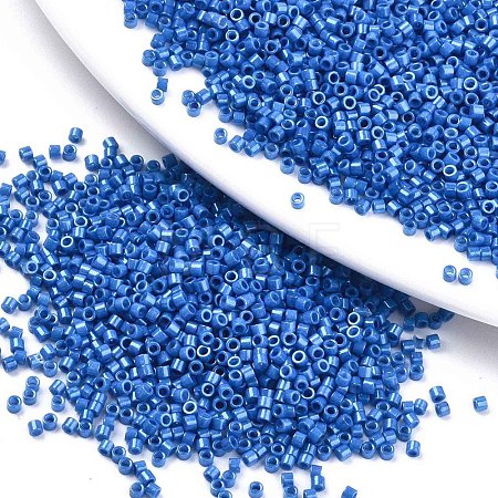 FGB 11/0 Grade A Baking Paint Glass Seed Beads X-SEED-S030-1042-1