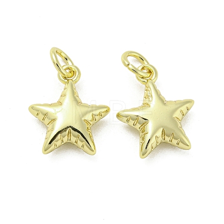 Rack Plating Brass Pendants X-FIND-Z024-05G-1
