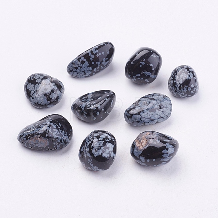 Natural Snowflake Obsidian Beads G-F517-16-1