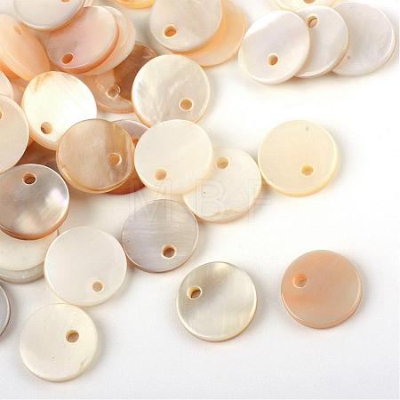 Sea Shell Charms SSHEL-S247-31-1