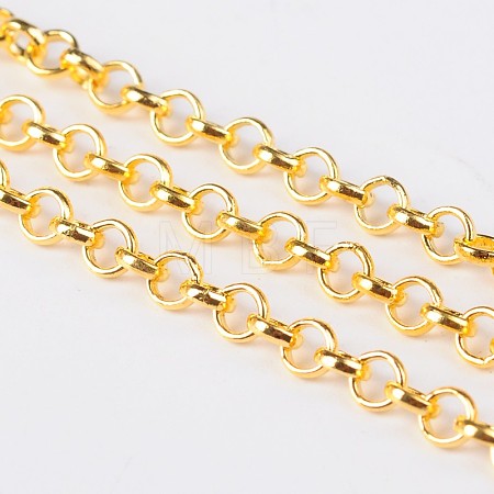 Iron Rolo Chain CH-S078-G-LF-1