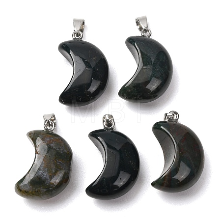 Natural Moss Agate Pendants G-F820-02L-12-1