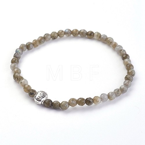 Natural Labradorite Stretch Bracelets BJEW-JB03939-01-1