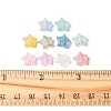 300Pcs 10 Colors Frosted Acrylic Charms OACR-FS0004-09-5