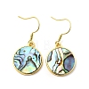 Brass Natural Paua Shell Dangle Earrings EJEW-M060-19E-G-4
