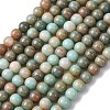 Ombre Effect Dyed Glass Beads Strands GLAA-T031-01O-12-2