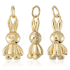 12Pcs Brass Pendants KK-BBC0019-16-6