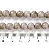 Natural Rainbow Alashan Agate Beads Strands G-NH0022-A09-02-5