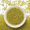 TOHO 8/0 Round Beads X-SEED-TR08-1811-2