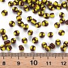 6/0 Glass Seed Beads SEED-S007-6-4