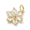 Brass with Rhinestone Charms KK-CBAD872-01G-09-2