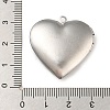 304 Stainless Steel Locket Pendants STAS-Q253-02P-03-3