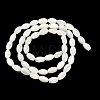 Natural Trochus Shell Beads Strands BSHE-E030-02C-3