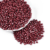 Baking Paint Pearlized Glass Seed Beads SEED-T007-21A-09-3