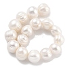 Natural Cultured Freshwater Pearl Beads Strands PEAR-C003-21B-3