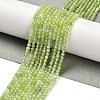 Natural Xiuyan Jade Beads Strands G-Z074-A04-01-1