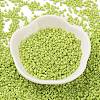 Baking Paint Glass Seed Beads X-SEED-S042-05B-62-2
