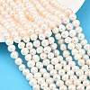 Natural Cultured Freshwater Pearl Beads Strands PEAR-D003-01C-04-1