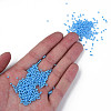 11/0 Czech Opaque Glass Seed Beads SEED-N004-003B-17-5