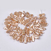 Electroplate Shell Pearl Beads Strands SSHEL-S261-01-3