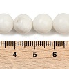 Natural White Shell Beads Strands BSHE-U001-01C-4