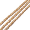Natural Trochid Shell/Trochus Shell Beads Strands SSHEL-O001-24B-01-3