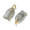 Natural Labradorite Pendants G-A297-01G-15-2