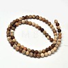 Frosted Natural Petrified Wood Round Bead Strands G-F266-07-6mm-2