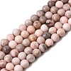 Natural Pink Zebra Jasper Beads Strands G-P231-01-6mm-2