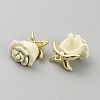 Spray Painted Alloy Charms FIND-TAC0017-35D-2