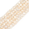 Natural Cultured Freshwater Pearl Beads Strands PEAR-P064-19G-05A-01-2