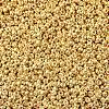 MIYUKI Round Rocailles Beads X-SEED-G007-RR1052-4